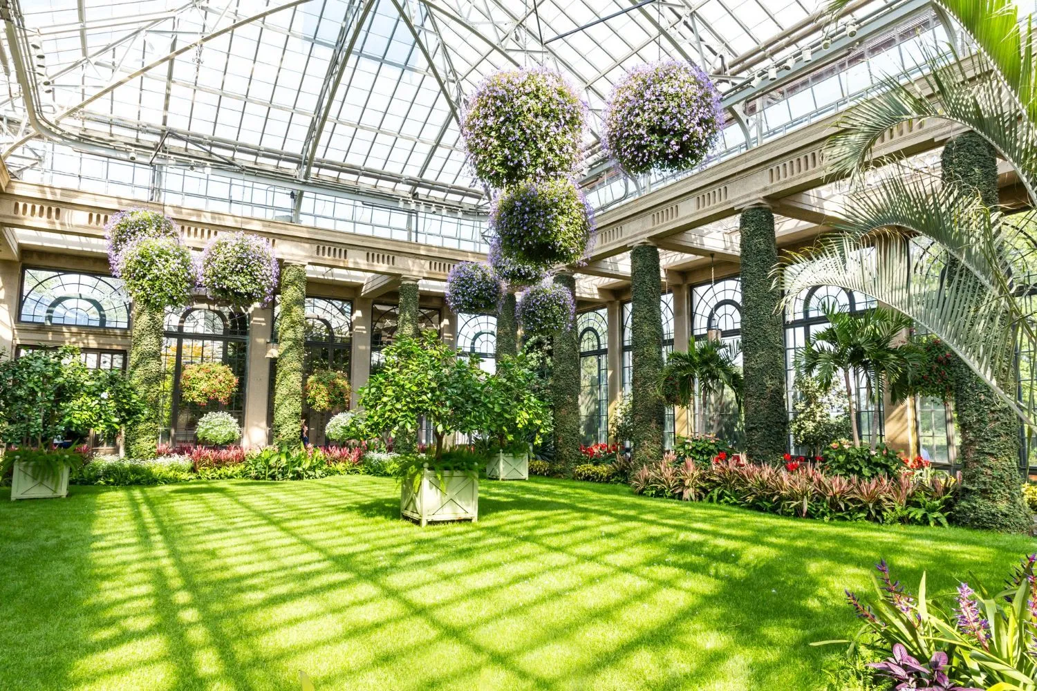 A large greenhouse filled with lots of plants and flowers.