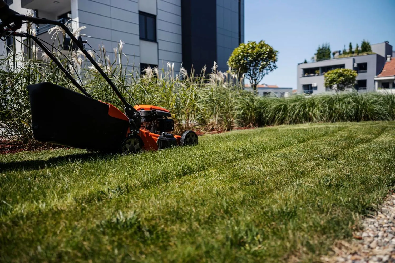 A person is mowing a lush green lawn in front of a building.