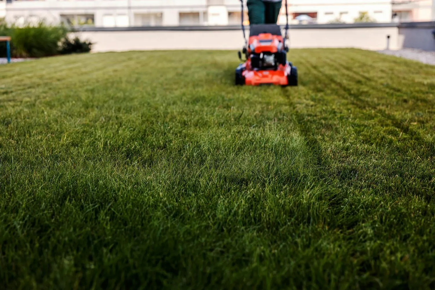 A person is mowing a lush green lawn with a lawn mower.