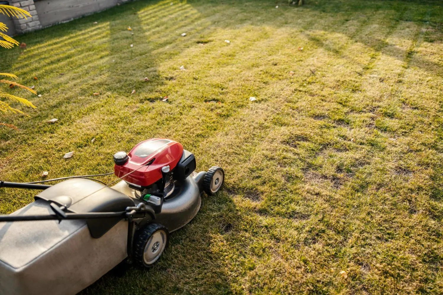 A lawn mower is cutting a lush green lawn.