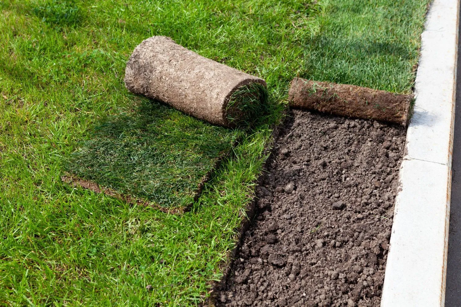 A roll of turf is sitting on top of a lush green lawn.