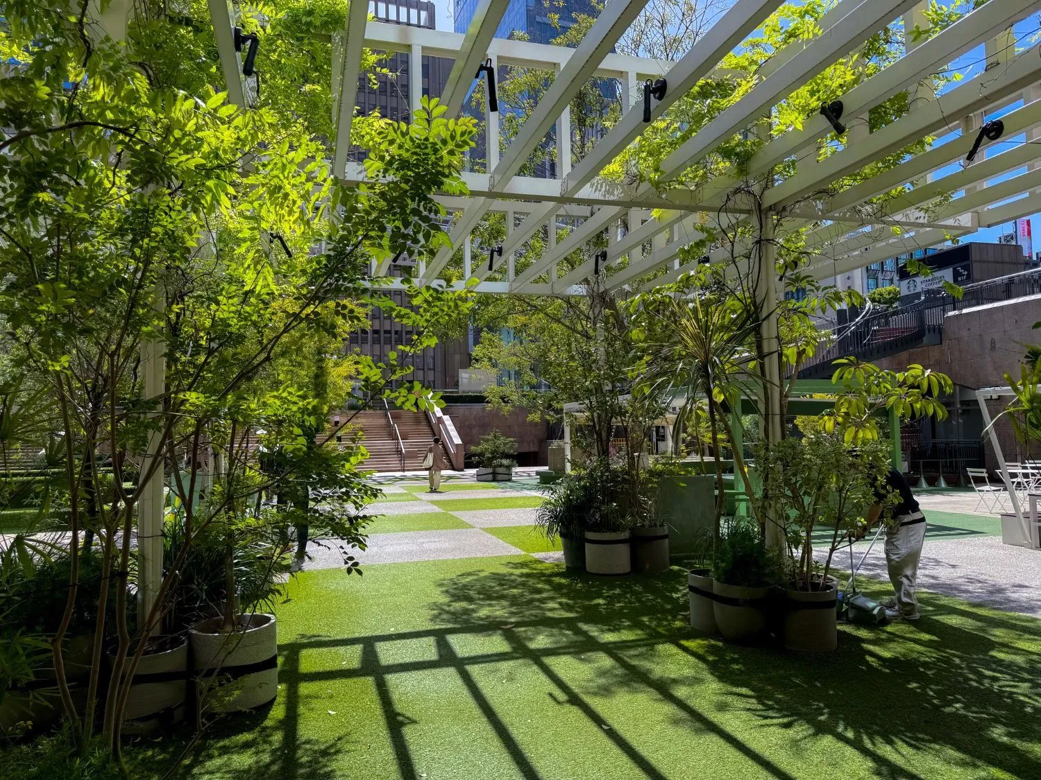 A pergola with trees and potted plants underneath it in a park.