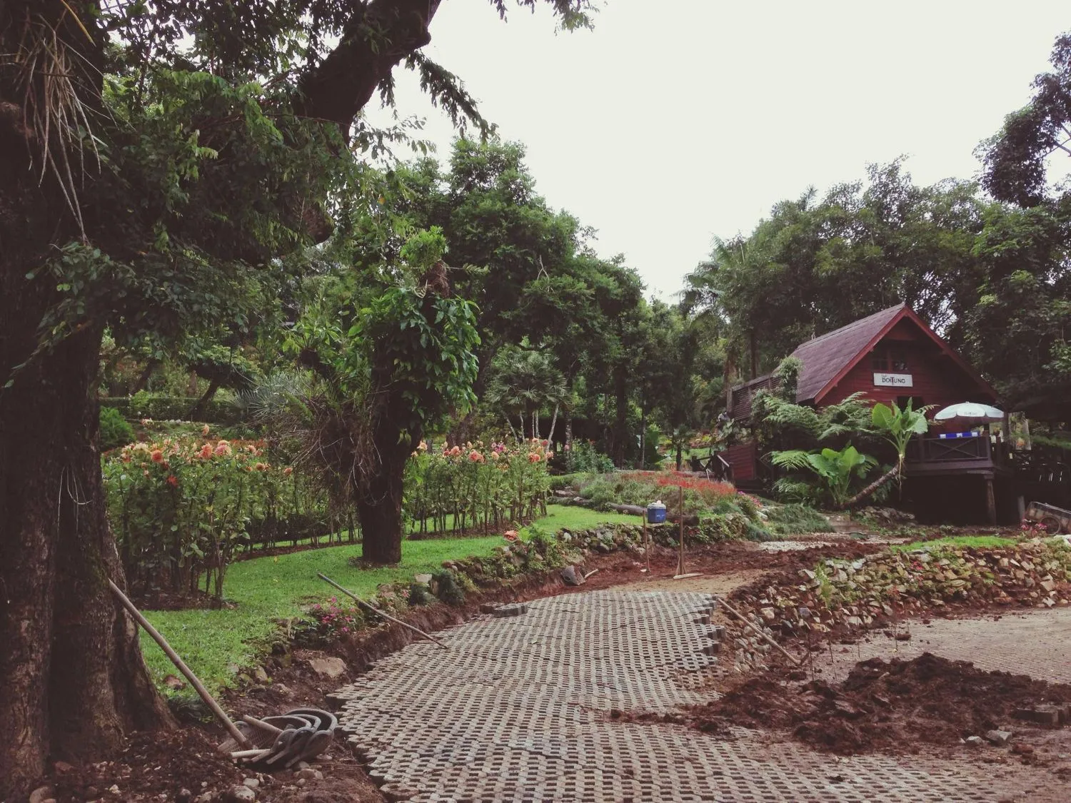 A house with a red roof is surrounded by trees and dirt