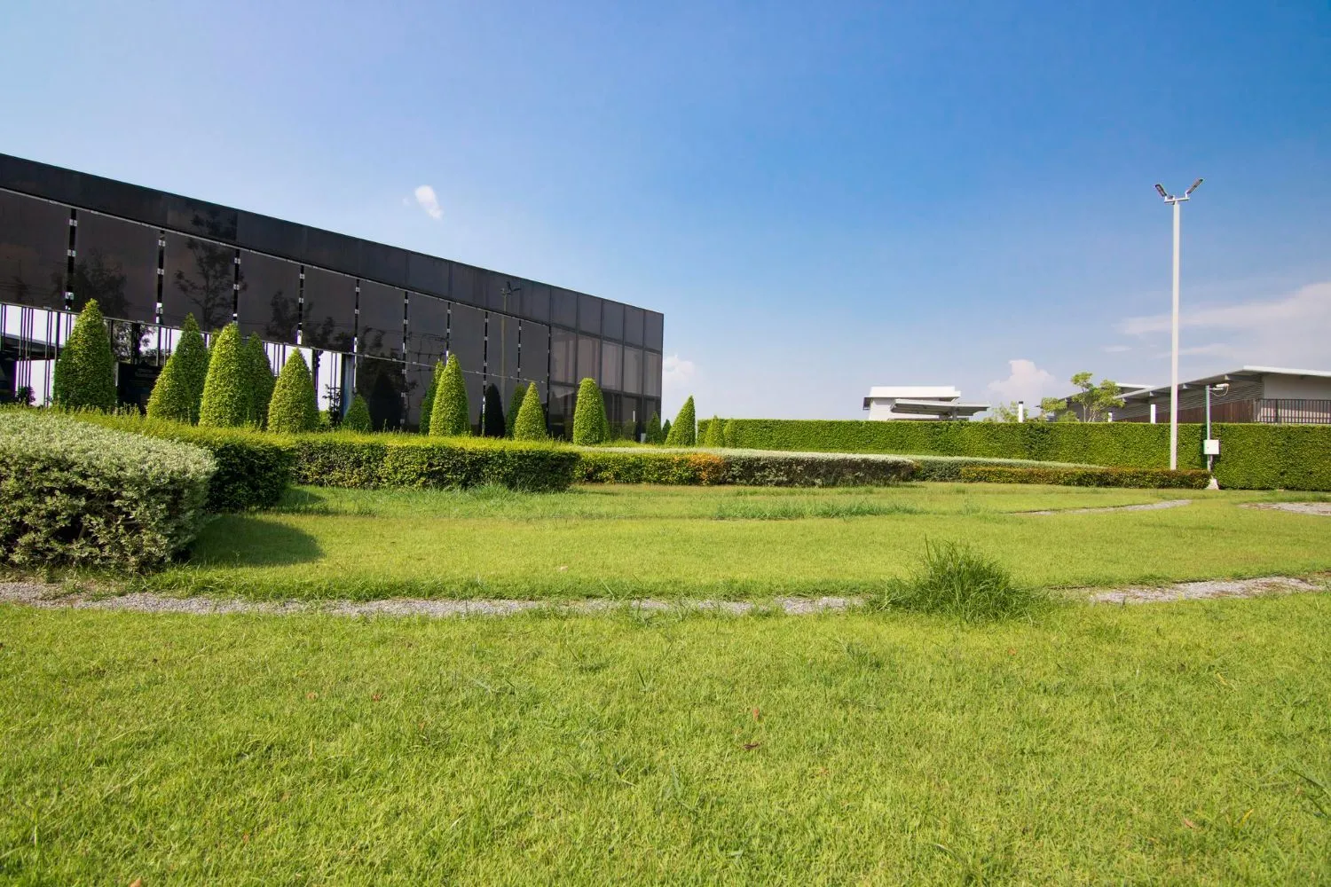 There is a large building in the background and a lush green field in the foreground.