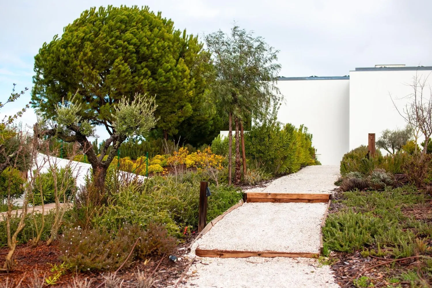 A path in a garden with trees and bushes leading to a white building