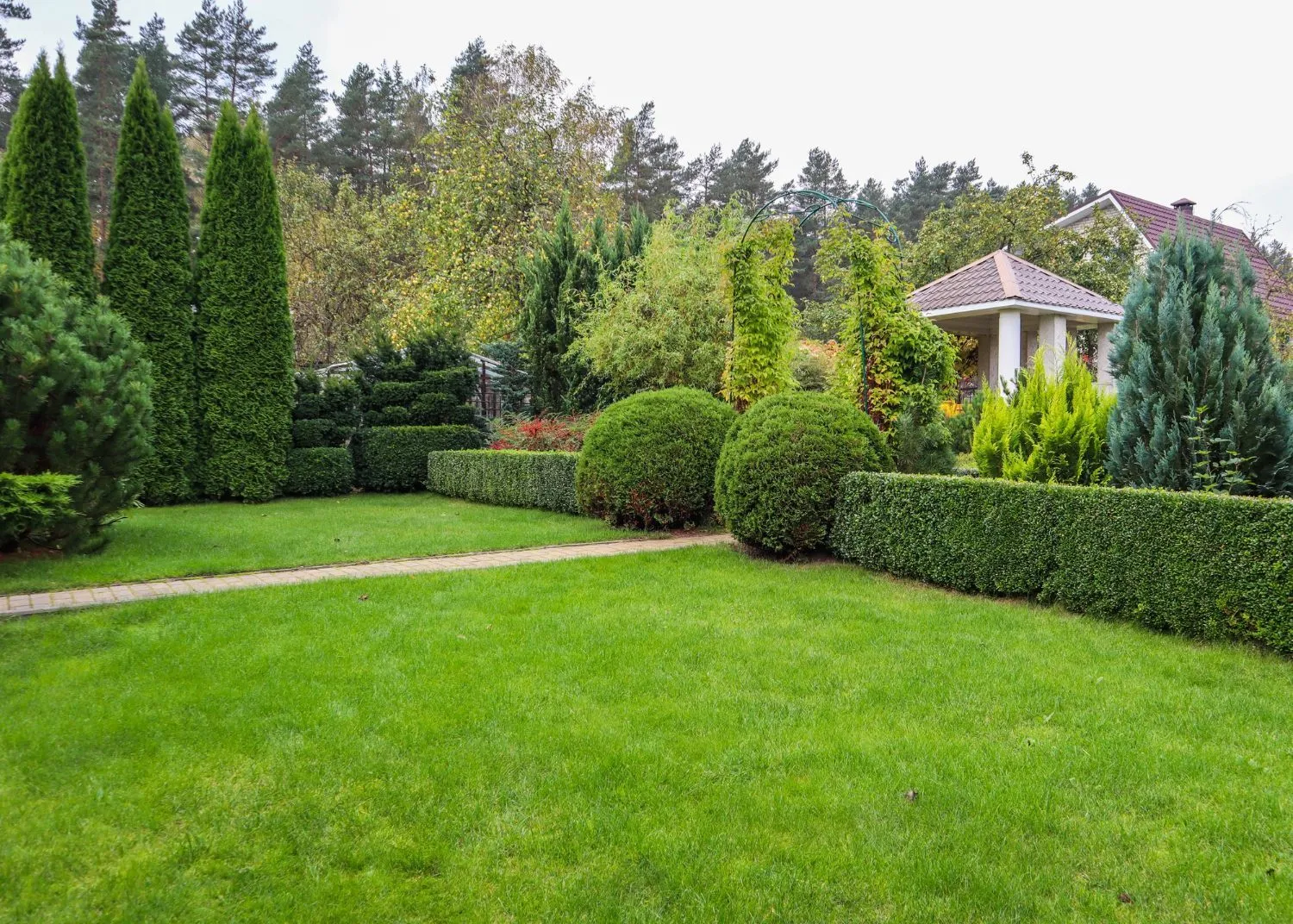There is a house in the background and a lush green lawn in the foreground.