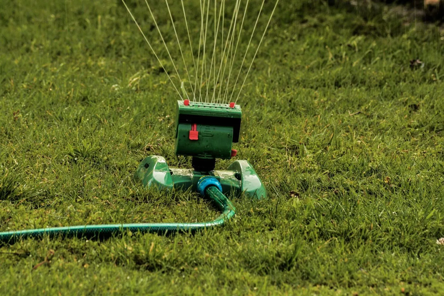A lawn sprinkler is spraying water on a lush green lawn.